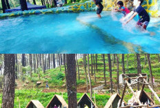 Klurak Eco Park Pacet, Tempat Camping dan Berenang yang Menyegarkan di Tengah Hutan Jawa Timur!