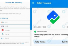 Dapatkan Rp1,7 Juta Gratis ke OVO dari Google, Ikuti Langkah Sederhana Ini!