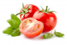Simak 5 Manfaat dan Kandungan di Dalam Buah Tomat Untuk Kesehatan