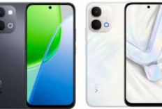 Review Vivo Y31d Pro 2026: HP Murah Rasa Flagship Ini Fakta Mengejutkan yang Jarang Dibahas!