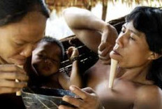Nggak Habis Pikir, Ini 7 Suku Pedalaman di Indonesia yang Masih Ada! Emang Benar Masih Ada?