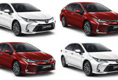 Resmi Jadi Incaran Toyota Corolla Altis V 2026: Mobil Canggih dan Tangguh dengan Teknologi Terkini 2026!