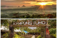 Rekomendasi Wisata Bojonegoro dengan Pemandangan Alam Indah, Cocok untuk Liburan Santai