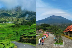 Pesona Alam Sumatera Selatan, 7 Gunung Cantik yang Harus Dikunjungi!