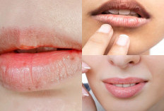 Mau Tahu Rahasia Bibir Lembut dan Sehat? Ini Dia 5 Tips Perawatan Mudah di Rumah