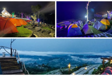 Memiliki View Bagus dan Spot Estetik, Wisata Camping Keluarga di Magelang