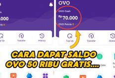 Modal Aplikasi Dapat Saldo OVO Rp50.000 Langsung Cair