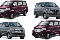 Lebih Murah dari LCGC, Muat 7 Penumpang, Mobil Bekas Suzuki APV Kini Diburu karena Harganya Cuma Segini!