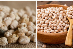 Manfaat Kacang Arab yang Sayang untuk Dilewatkan!