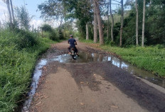 Jalan Berlubang dan Tergenang, Warga Minta Segera Diperbaiki
