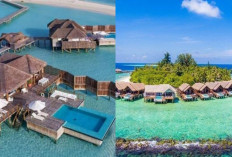 7 Fakta Menarik tentang Maldives, Destinasi Impian untuk Pecinta Alam!