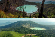 Pesona Kawah Putih Ciwidey, Destinasi Fotografi dan Petualangan di Bandung!