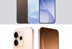 Oppo Reno15 Pro Meluncur dengan Desain Curved Premium, Dimensity 8450 Bawa Lonjakan Performa