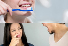 Yuk Kepoin, Begini 3 Cara Mudah dan Aman Menghilangkan Bau Mulut Anda!