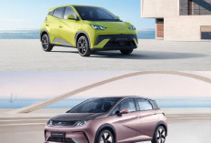 BYD Atto 1 Dominasi Pasar Otomotif Indonesia, Geser Innova dan Avanza