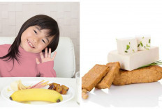 Ketahui! Inilah Makanan Sumber Protein Nabati yang Baik untuk Anak