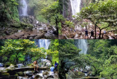 Hening Menyepi di Curug Cikaracak, Tempat Berkemah yang Memikat di Bogor!