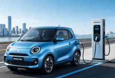 Suzuki e-Sky: Mobil Listrik Mungil dengan Pengisian Cepat dan Jarak Tempuh 310 Km