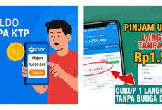 Rahasia Cuan Instan! Pinjaman Saldo DANA Terpercaya Tanpa Bunga, Tanpa KTP, Cair Hitungan Menit
