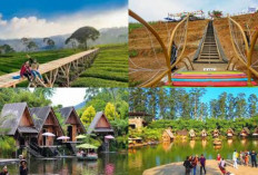 5 Destinasi Wisata Menarik di Bandung yang Wajib Dikunjungi?