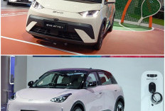 Geely EX2 vs BYD Atto 1, Mana Mobil Listrik Terbaik untuk Kebutuhan Anda?