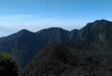 Gunung Salak via Ajisaka: Rute Pendakian, Pemandangan, dan Tips Penting