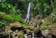 Wisata Suasana Sejuk di Air Terjun Jurang Jero Karangpandan!