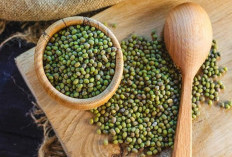 5 Manfaat Kacang Hijau Untuk Kesehatan Kekayaan Nutrisi Dalam Setiap Butirnya