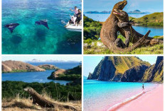 Pesona Wisata Taman Nasional Komodo, Abadikan Momen dengan 6 Spot Instagenic Ini!