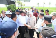 Optimis Program OPLA Dongkrak Provinsi Sumsel 