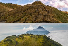 Dijuluki Gunung Seribu Jalan. 4 Fakta Menaruk Merbabu Perlu Kamu Ketahui Sebelum Mendakinya