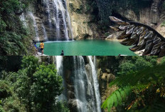 Menikmati Keindahan Alam di Tuba Waterfall: Pesona Air Terjun di Tengah Hutan yang Sangat Mempesona!