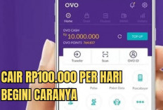 Tips dan Trik Mengatasi Gagal Transfer OVO, Pelajari 5 Penyebab Utamanya 