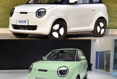 Bukan Sekadar Lucu! Data Ini Ungkap Alasan Changan Lumin Jadi Mobil Listrik Favorit Perempuan