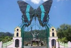Bikin Kagum! Pesona The Kingdom of Butterfly Taman Nasional Bantimurung Bulusaraung
