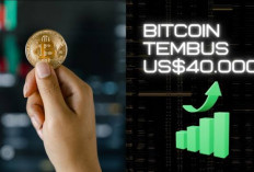 Lagi Mantap-mantap, Ini 7 BitCoin yang Naik Tahun 2024