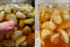 Cobain Cara Membuat Rendaman Bawang Putih, Mudah dan Cepat!