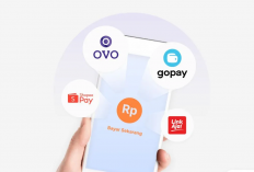 Cuma Isi Survey, Uang Masuk ke OVO, Dana, dan Gopay! Ini 5 Website yang Wajib Kamu Coba!
