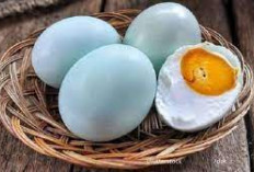 Tak Sekedar Protein! Ini Dia 5 Rahasia Rasa Unik Memahami Telur Bebek Dalam Kuliner Anda