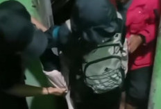 Tim Brigade Pagar Alam Evakuasi Pendaki Hipotermia di Tengah Cuaca Ekstrem