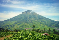 Kisah Mistis Gunung Sindur: Misteri yang Menyelimuti Puncak Angker