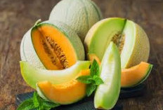 Tak Hanya Segar! Yuk Nikmati 5 Kelezatan Buah Melon Dalam Setiap Gigitannya, Cek Faktanya!