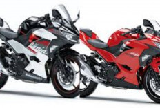 Kawasaki Ninja 250 Terbaru 2026 Resmi Rilis: Kini Pakai Suspensi Upside Down SFF-BP dan Fitur Riding Mode!