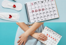 Ladies Wajib Tahu Nih! 5 Tips Cara Alami Mempercepat Siklus Menstruasi