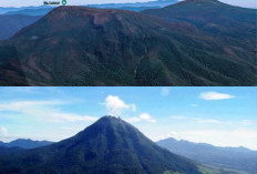Misteri Hantu Rimba Gunung Leuser, Kisah Seram yang Masih Dipercaya Warga
