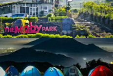 Petualangan Seru di Glamping The Moby Park, Destinasi Wisata Baru di Wonosobo!