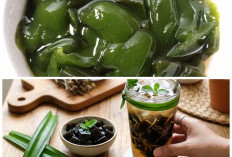 Cincau Hijau vs Cincau Hitam, Mana yang Lebih Cocok untuk Takjil dan Minuman Segar? Ini Bedanya!