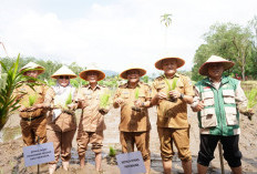  Hadapi El Nino, Pemkot Dukung Swasembada Pangan