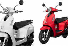 Keunggulan VinFast Evo 2026 Terungkap! Motor Listrik Stylish dengan Jarak Tempuh Mengesankan Ditahun 2026!