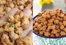 Inilah Resep Kacang Kribo Tepung Ketan, Enak dan Renyah?
